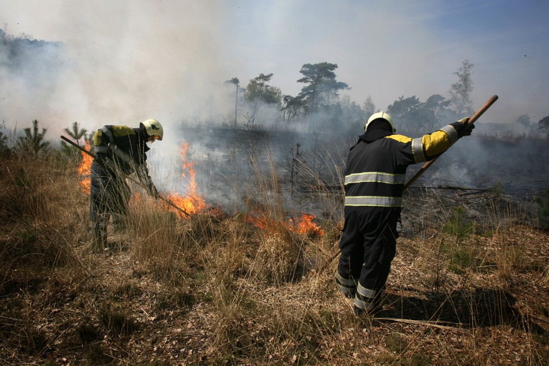 2008 | Breda/ Nederland | De brandweer had hun handen vol aan de grote brand waarbij tien hectare natuur in as opging